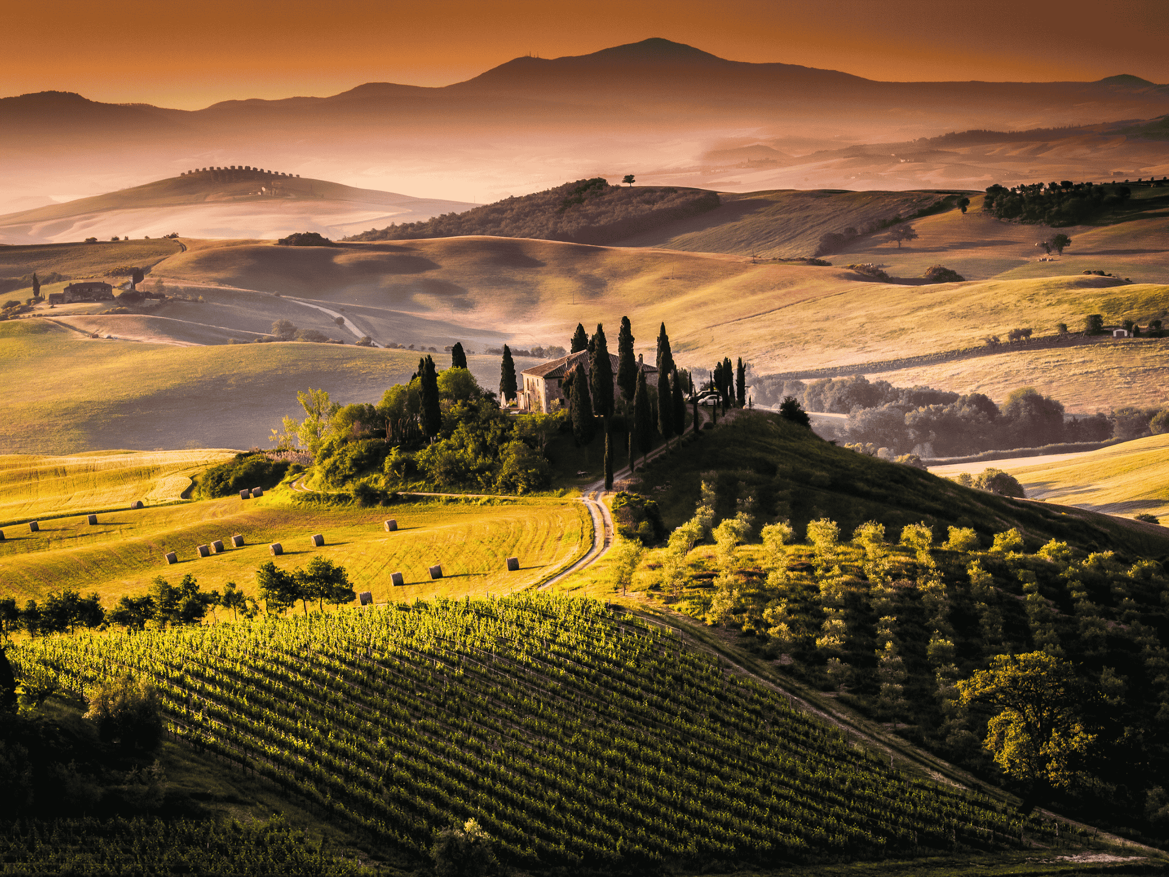 ITALIA ITALIA