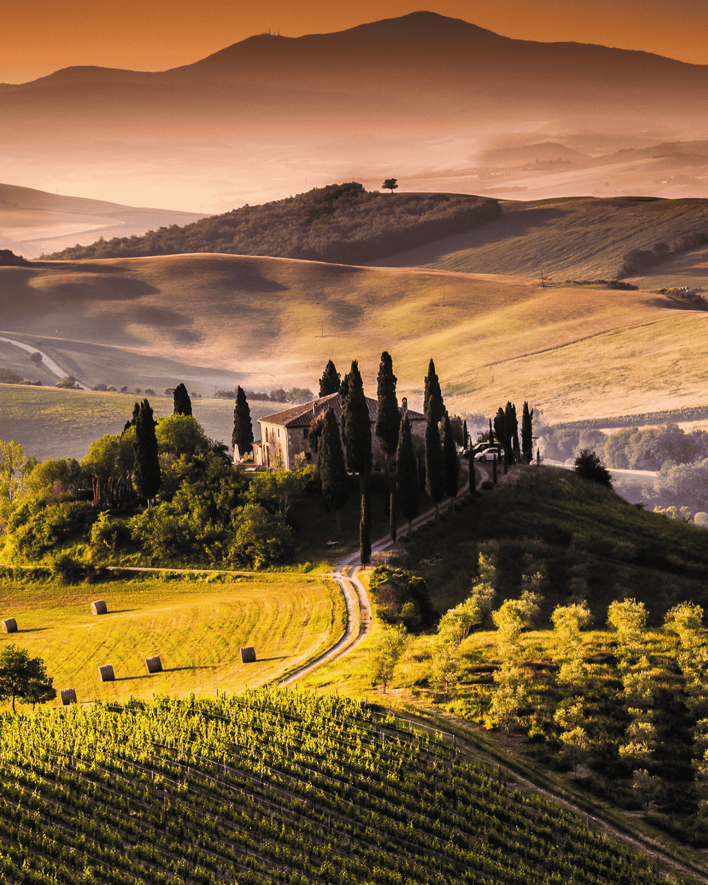 Area Italia