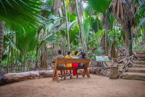 The Seychelles Islands