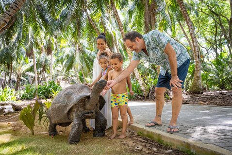 The Seychelles Islands