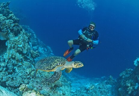 The Seychelles Islands