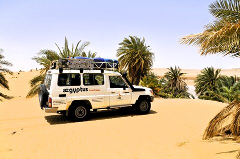 Spedizioni nel deserto