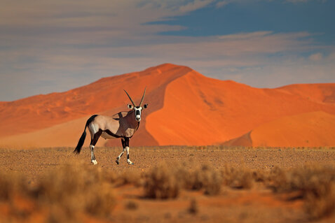 Colori namibiani