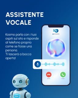 Voice assistant