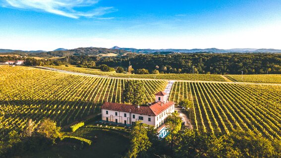 Tenuta La Marchesa