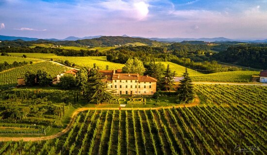 Tenuta La Marchesa