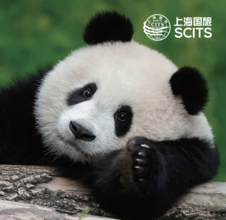 Chengdu