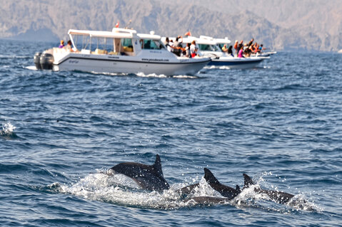 Oman – Mare, Isole e Avventura